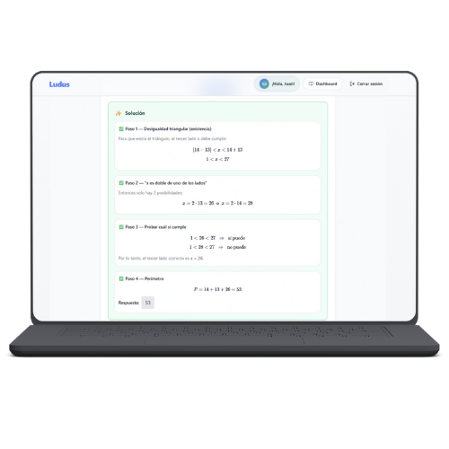 Feedback paso a paso personalizado